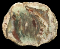Beautiful Eckenfels Thunderegg with Heavy Flowbanding and Pseudomorphs