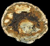 Albaum Thunderegg with . . . um . . . Agate.