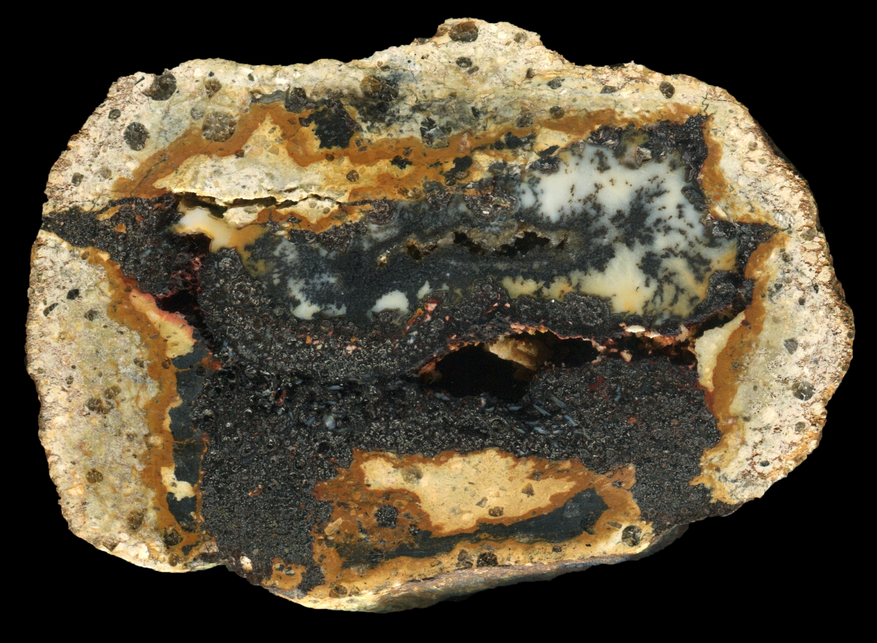 Complex Wingeshausen Thunderegg with Goethite and White