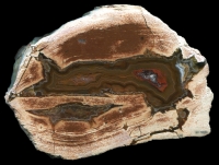 Teufelskanzel Thunderegg