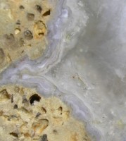Gehlberg Florescent 
