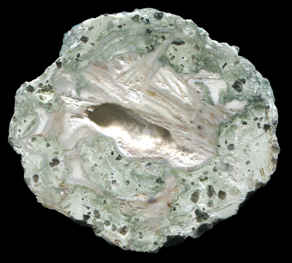 White Querbitzsch Thunderegg
