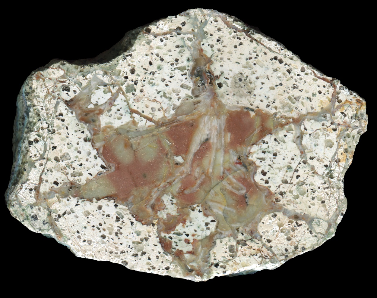 Large Querbitzsch Thunderegg with Red Stained Silicified Mud