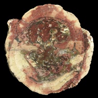 Altenberg Thundereggs