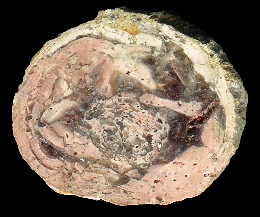 Schmiedeberg by Dippoldeswalde Thunderegg with Muddled Core