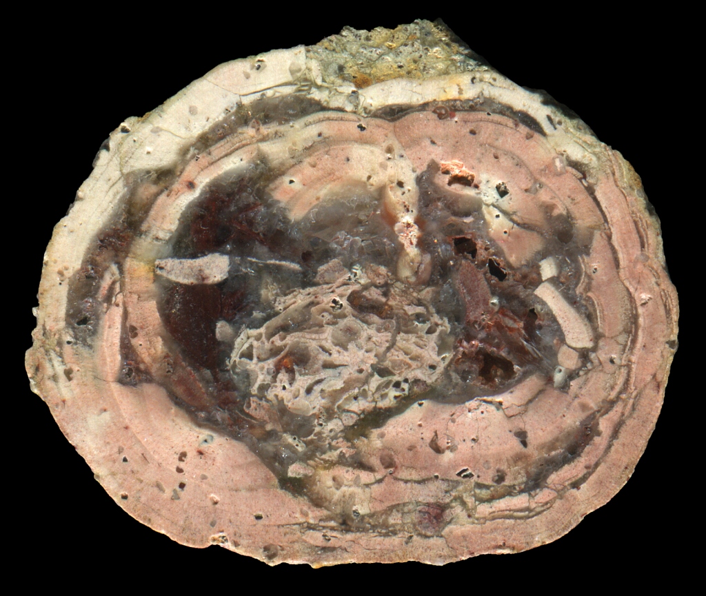 Schmiedeberg by Dippoldeswalde Thunderegg with Muddled Core