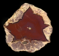 St Egidien Thunderegg