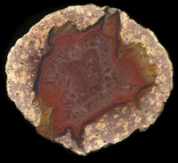 St Egidien Thunderegg