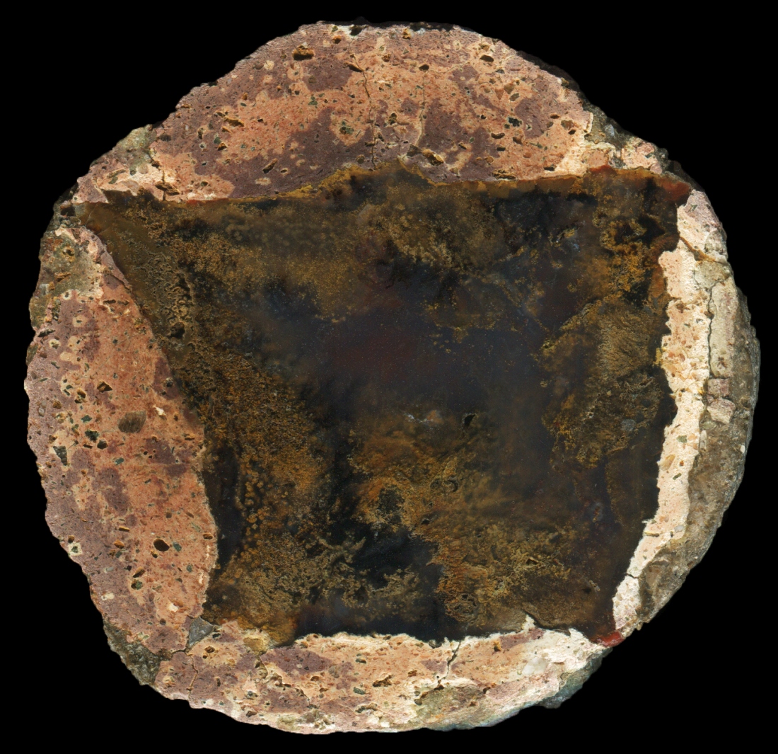 St Egidien Thunderegg with Moss in Clear Agate