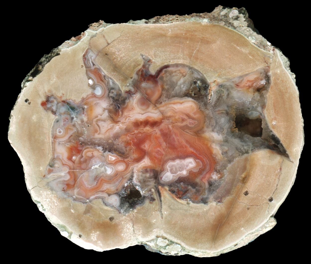 Beautifully Shaped Arlesburg Thunderegg