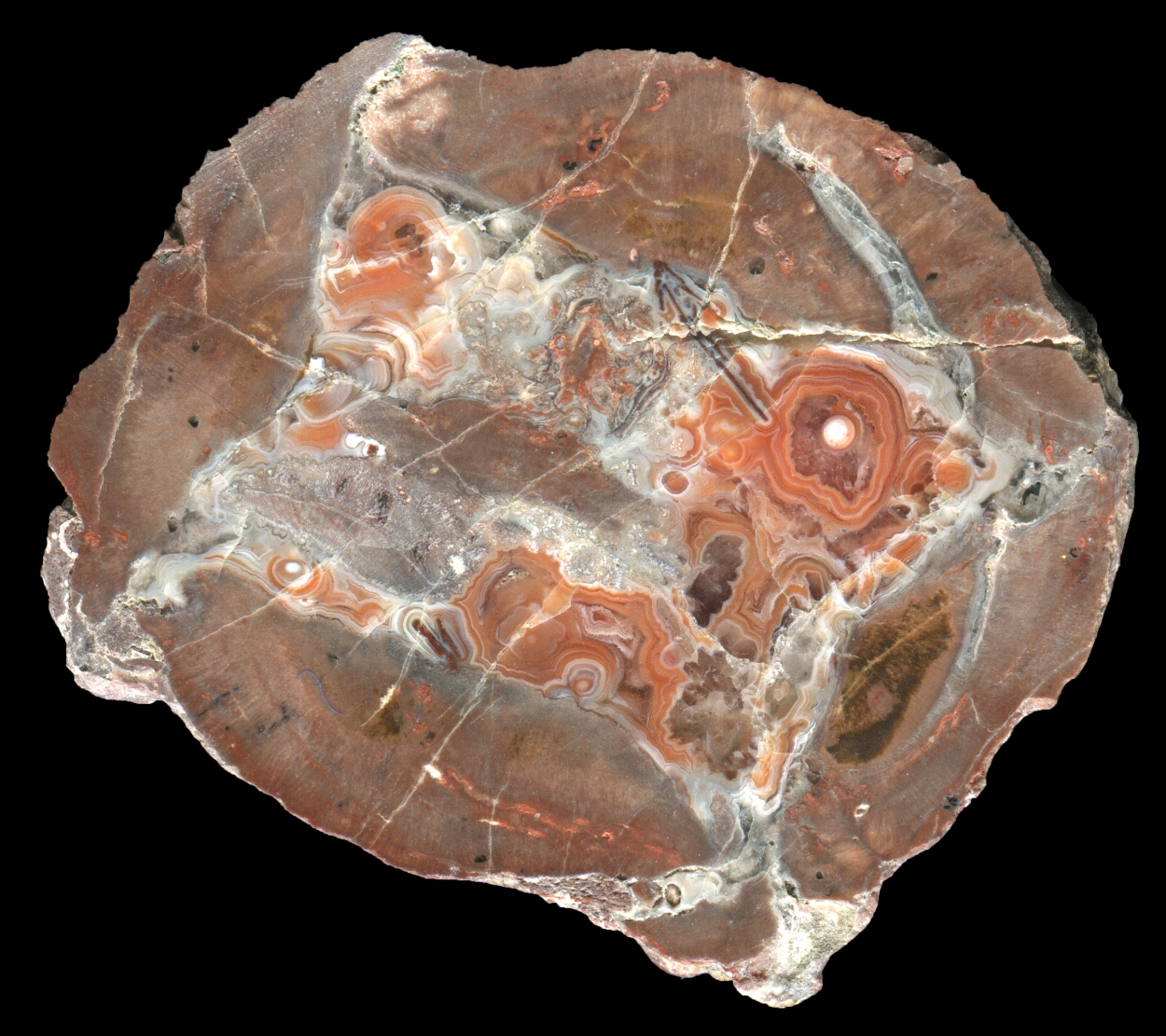 Arlesberg Thunderegg with Box Core