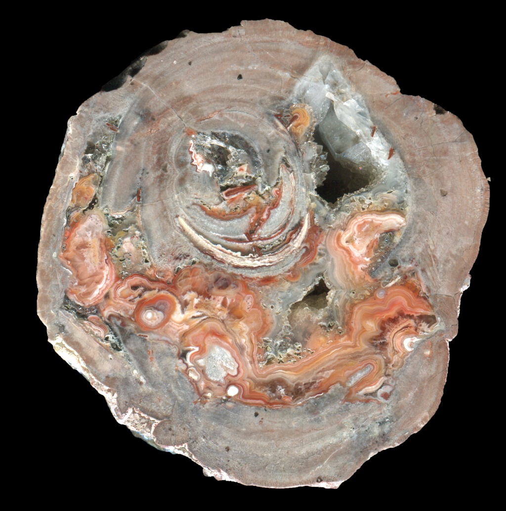 Arlesberg Thunderegg with Elabourate Hydrothermal Agate