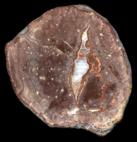 Baumgartental Thunderegg