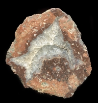 Brand Thunderegg