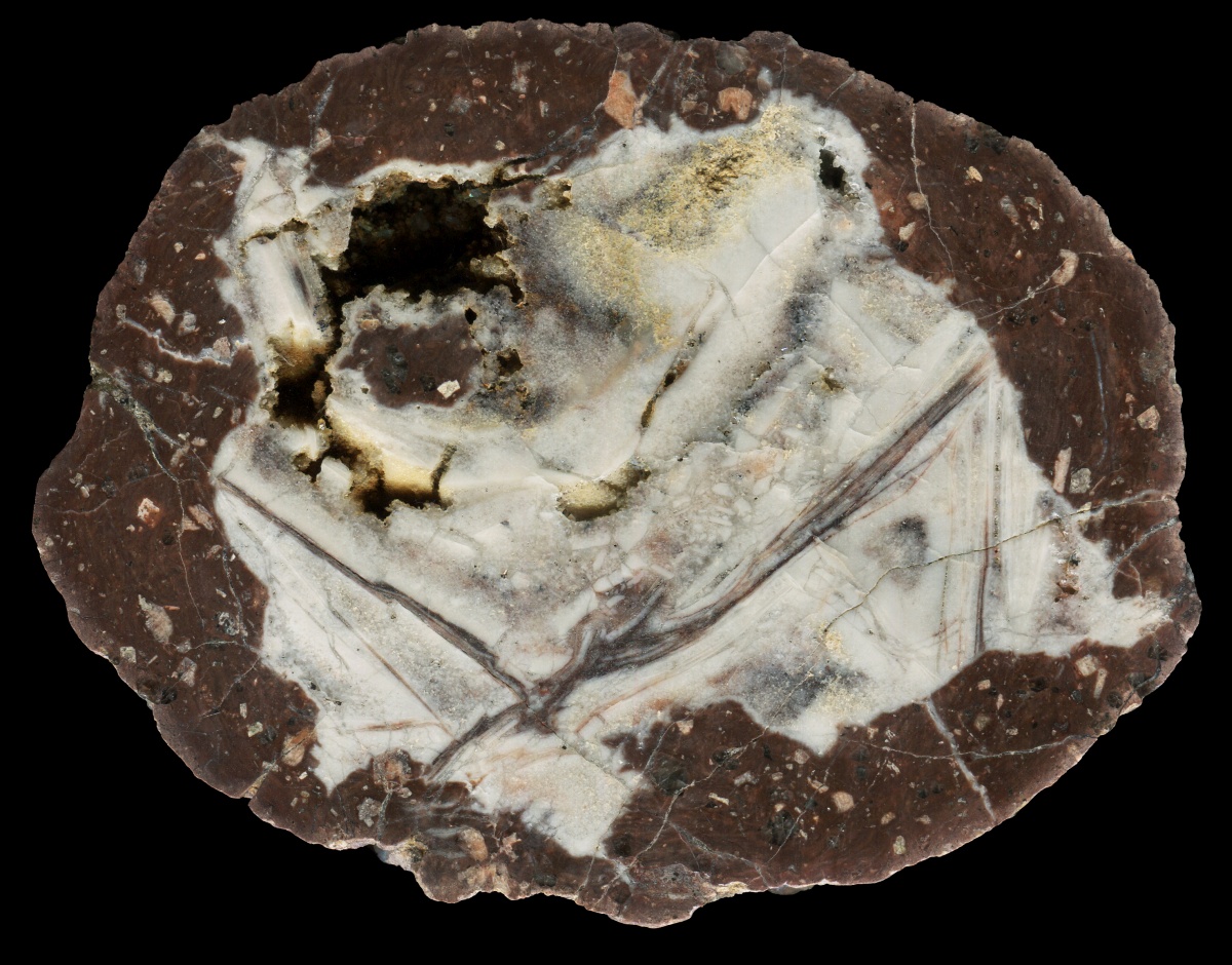 Schmalkalden Thunderegg with Solid White Core