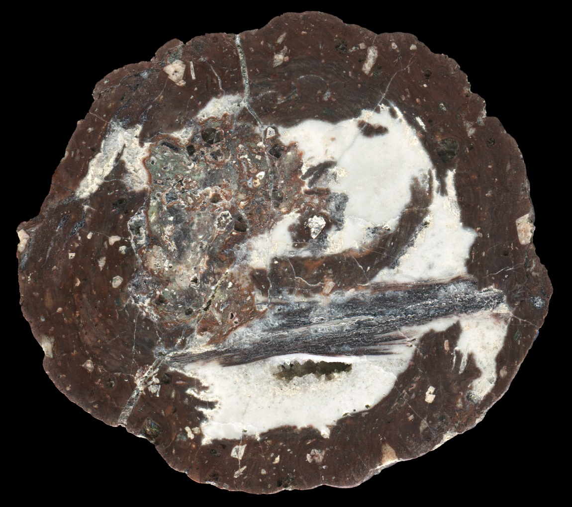 Solid Schmalkalden Thunderegg with Barite Sprays