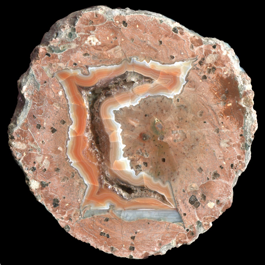 Wildcat Gorge Thunderegg with Orange Agate