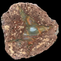rotterode #1 Thunderegg