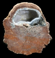 Thundereggs from the Isle of Lesbos