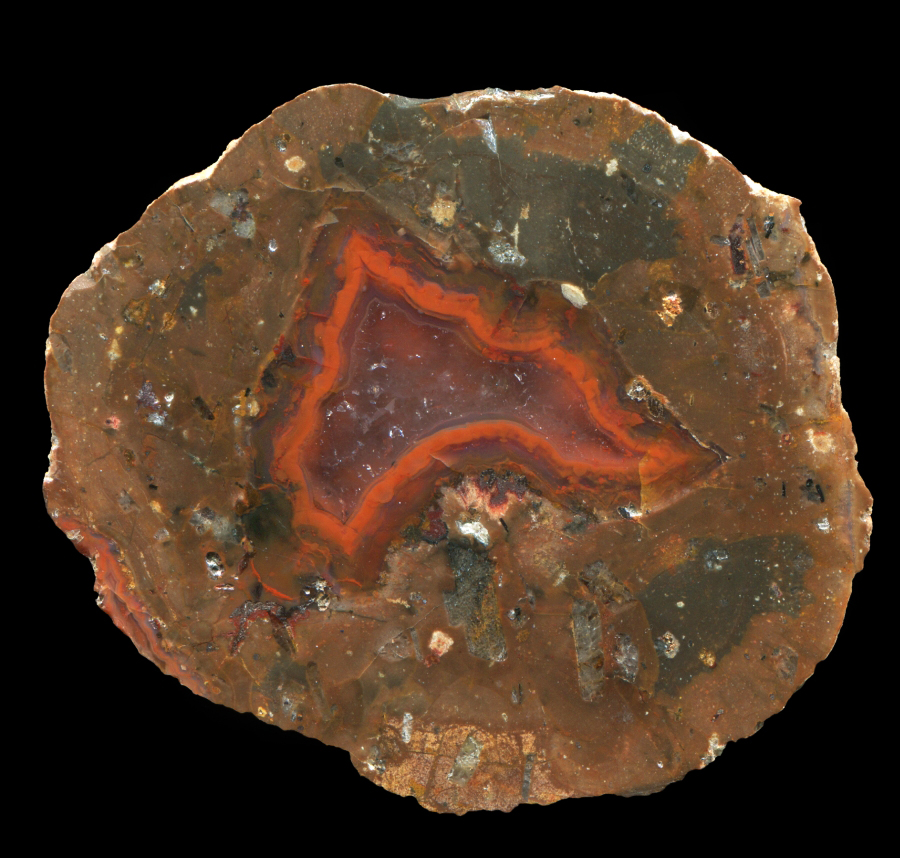 Simple Triangular Berrendo Thunderegg 