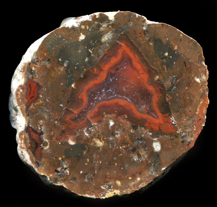 Simple Triangular Berrendo Thunderegg 