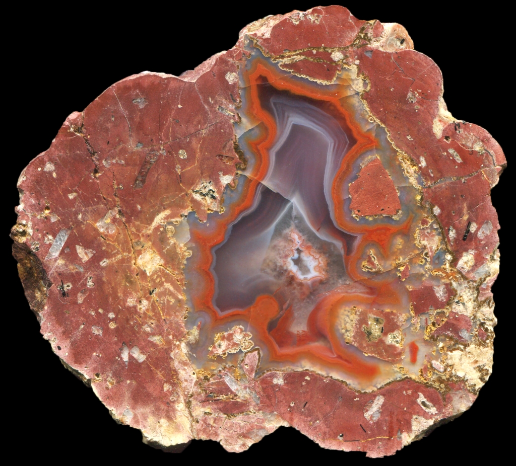 Berrendo with Red Matrix