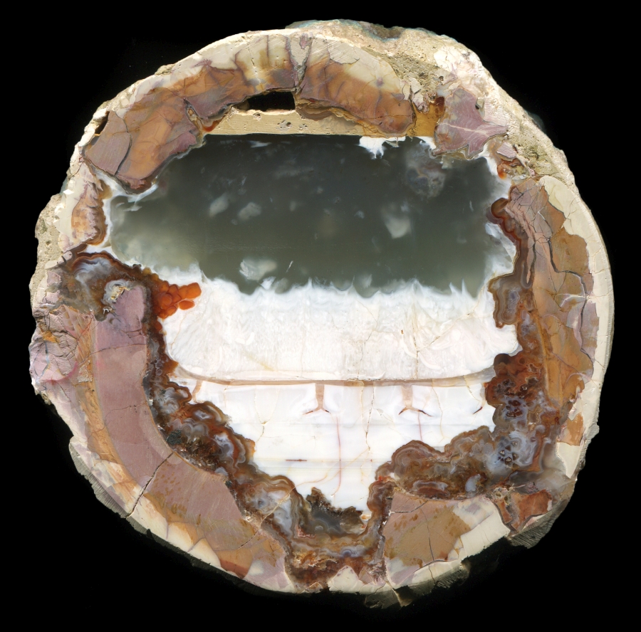Cold Mountain Thunderegg with Large Core