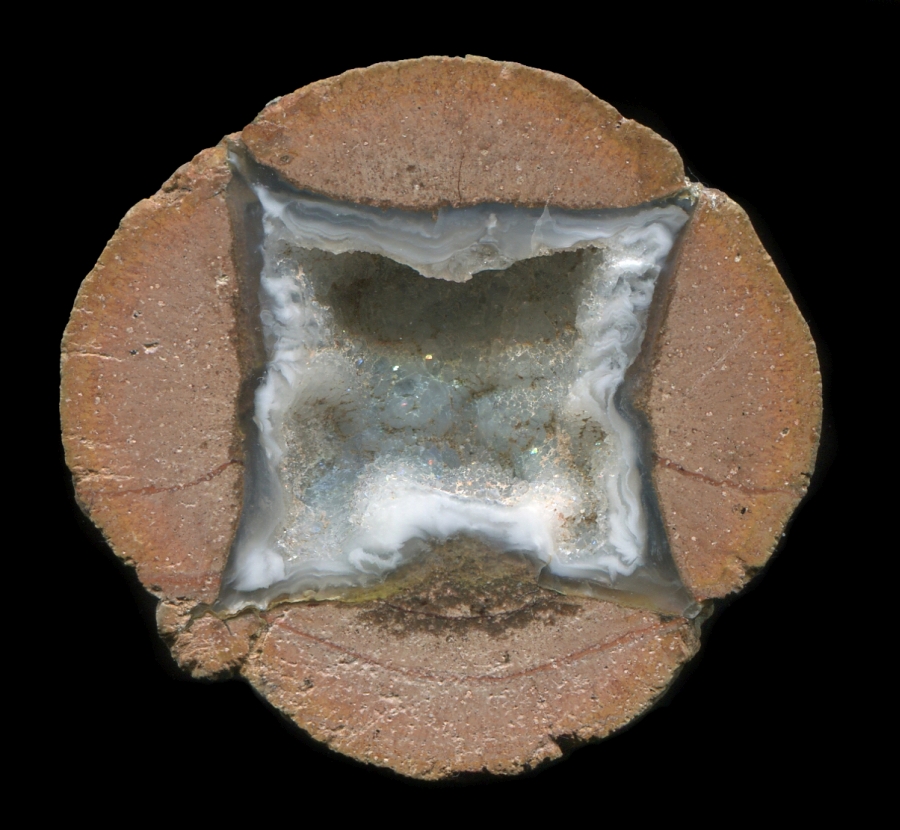 Tiny Coyamo Thunderegg