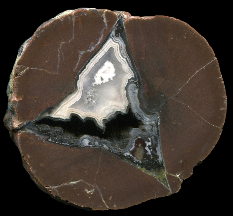 Coyamo Thunderegg With Striking White Agate