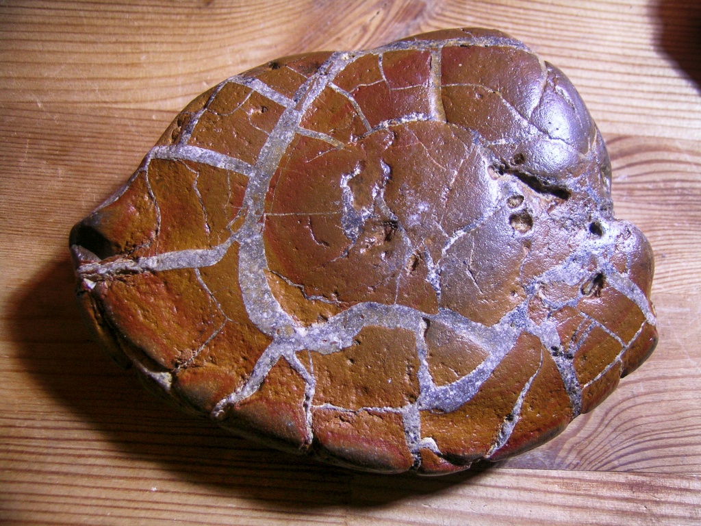 Unworked Warden Point Septarian