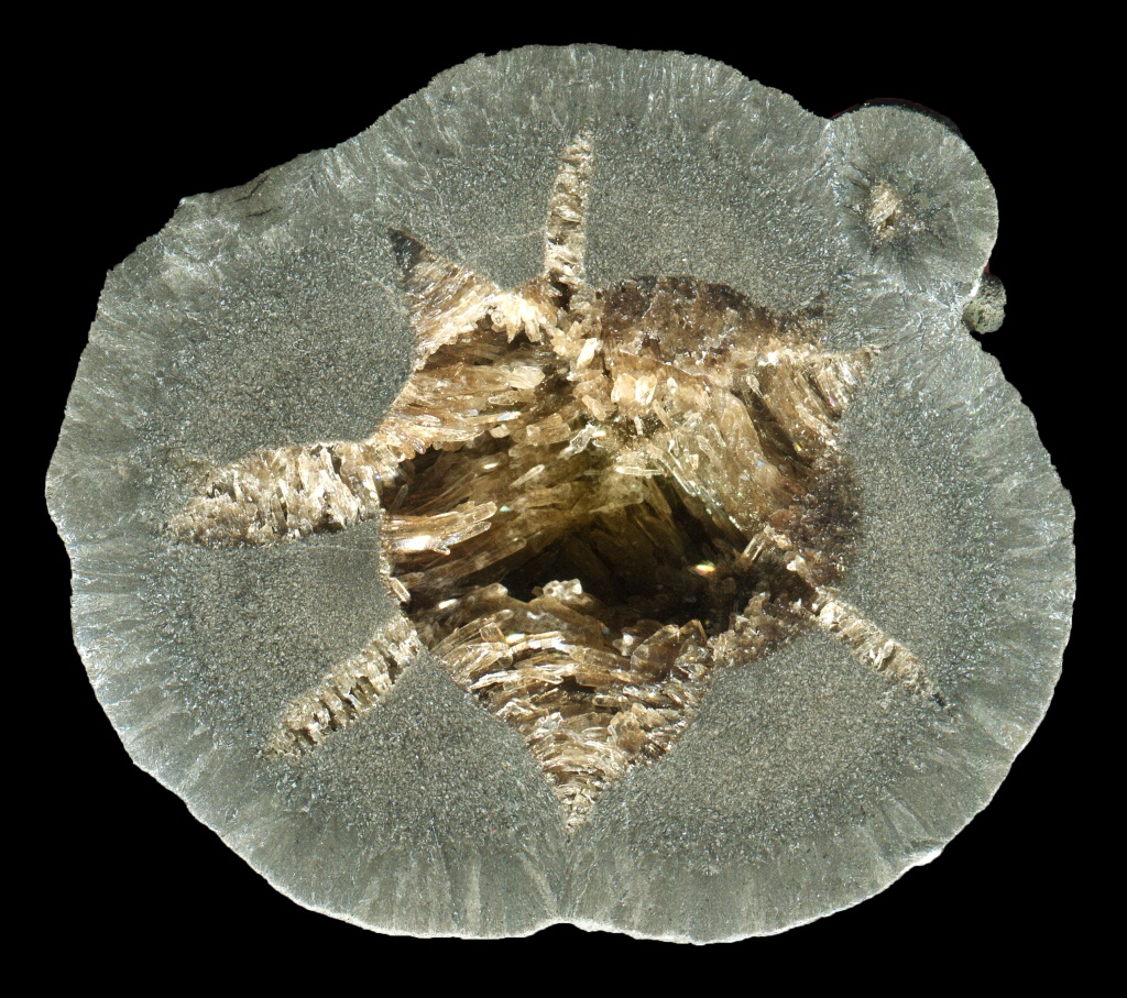 Drome Septarian with a Complex Structure