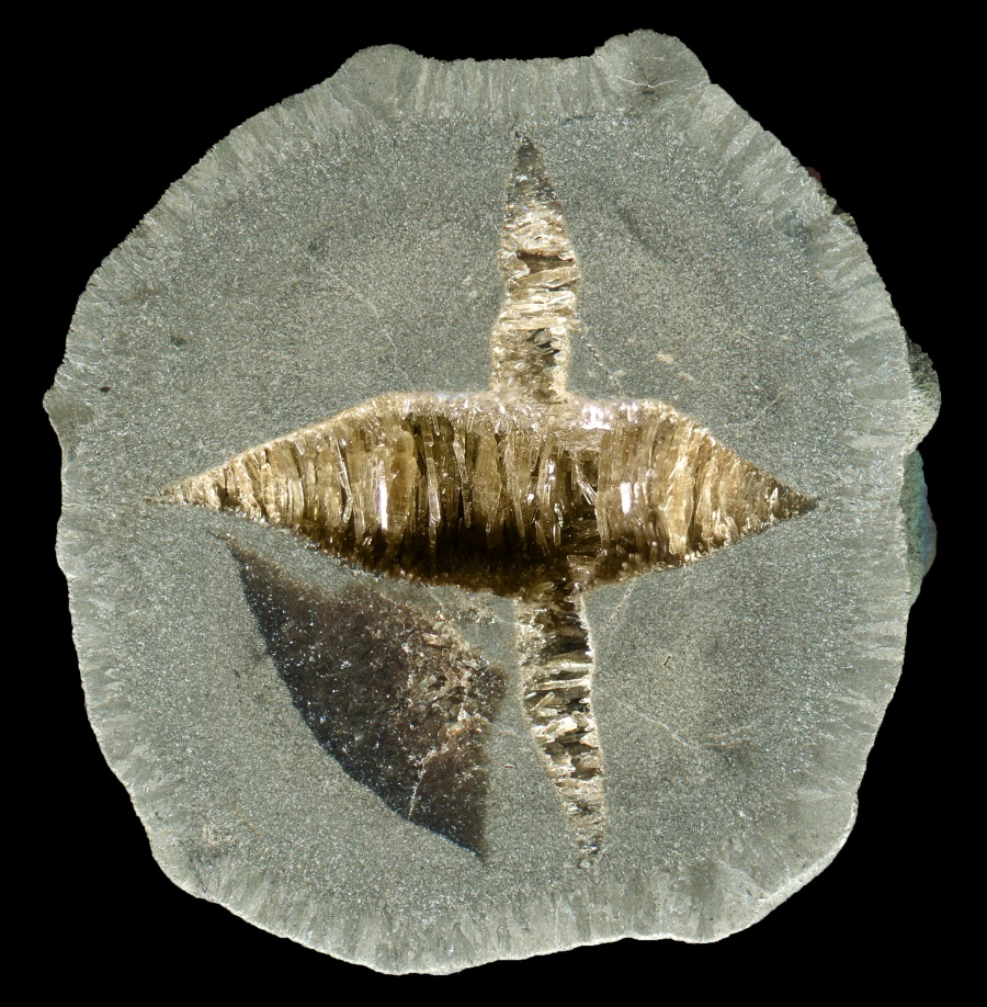 Drome Septarian with a Large Area of Vertical Barite Crystals