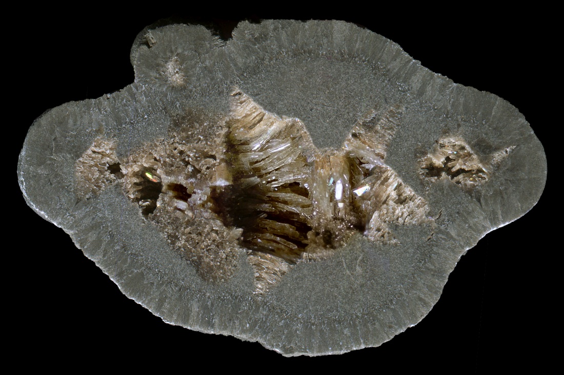 Somewhat Elongated Drome Septarian