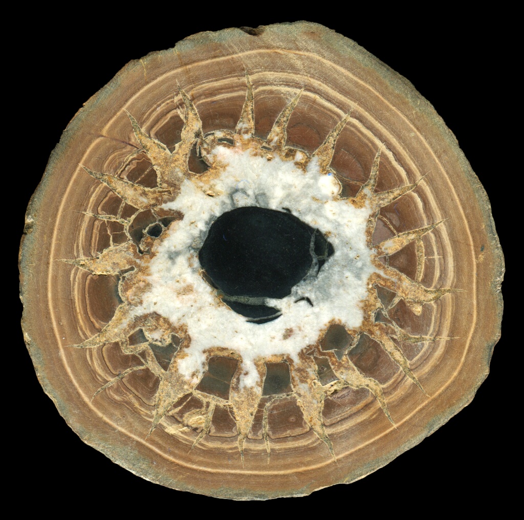 Septarian Nodule from Morocco