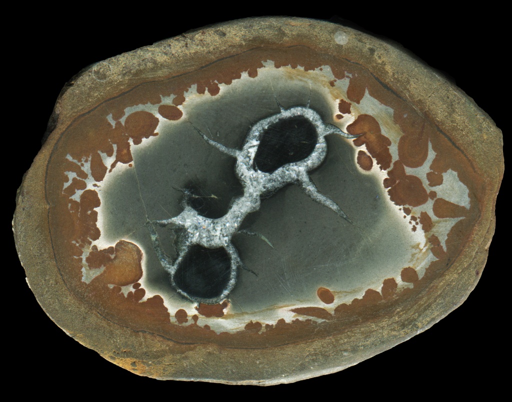 Moroccan Septarian with Few Cracks