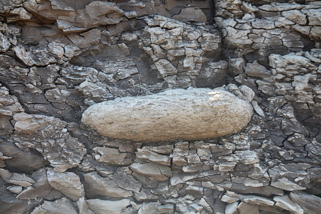 Large Septarian Nodule Still in the Cliffs at Warden Point