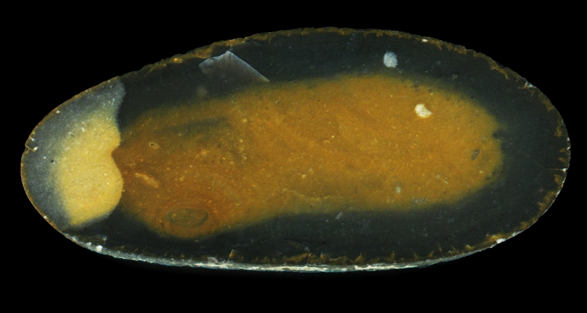 Bishopstone Flint with Yellow Centre