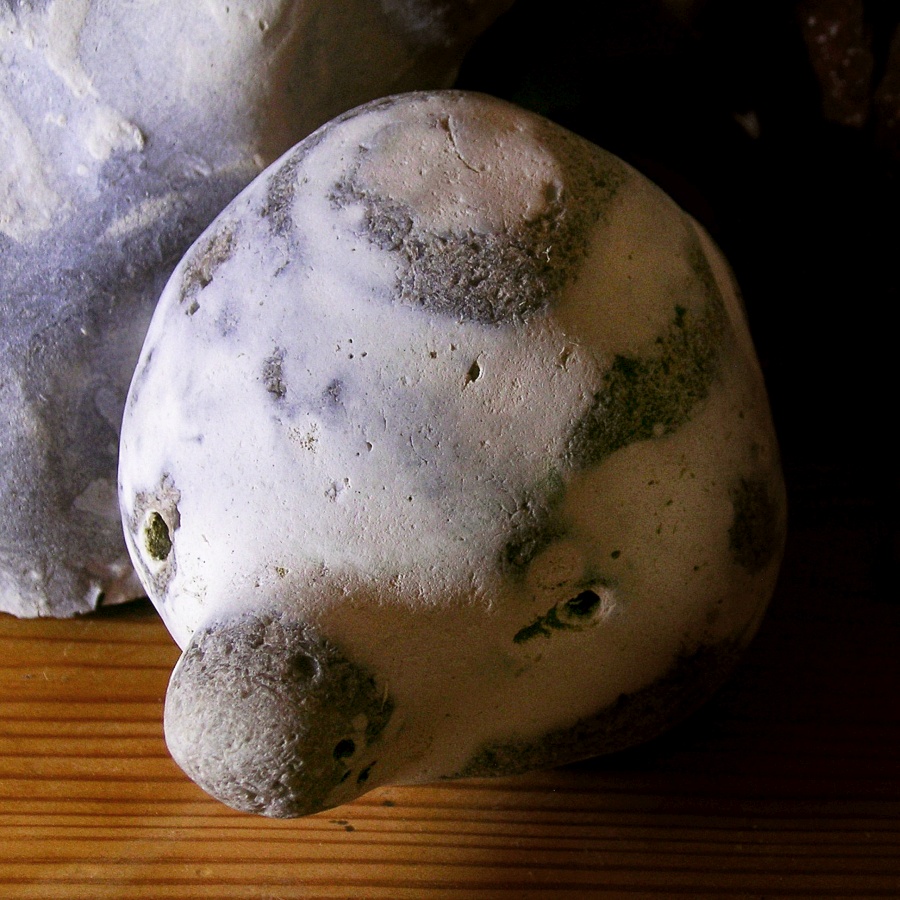 Troll Face Flint Pebble