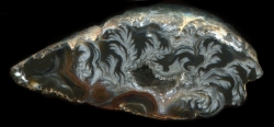 Keokuk Geode with White Agate