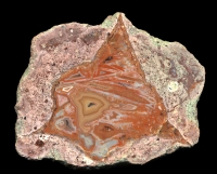 Nowy Kosciol Thunderegg