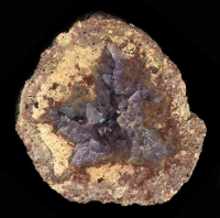 Nowy Kosciol Thunderegg