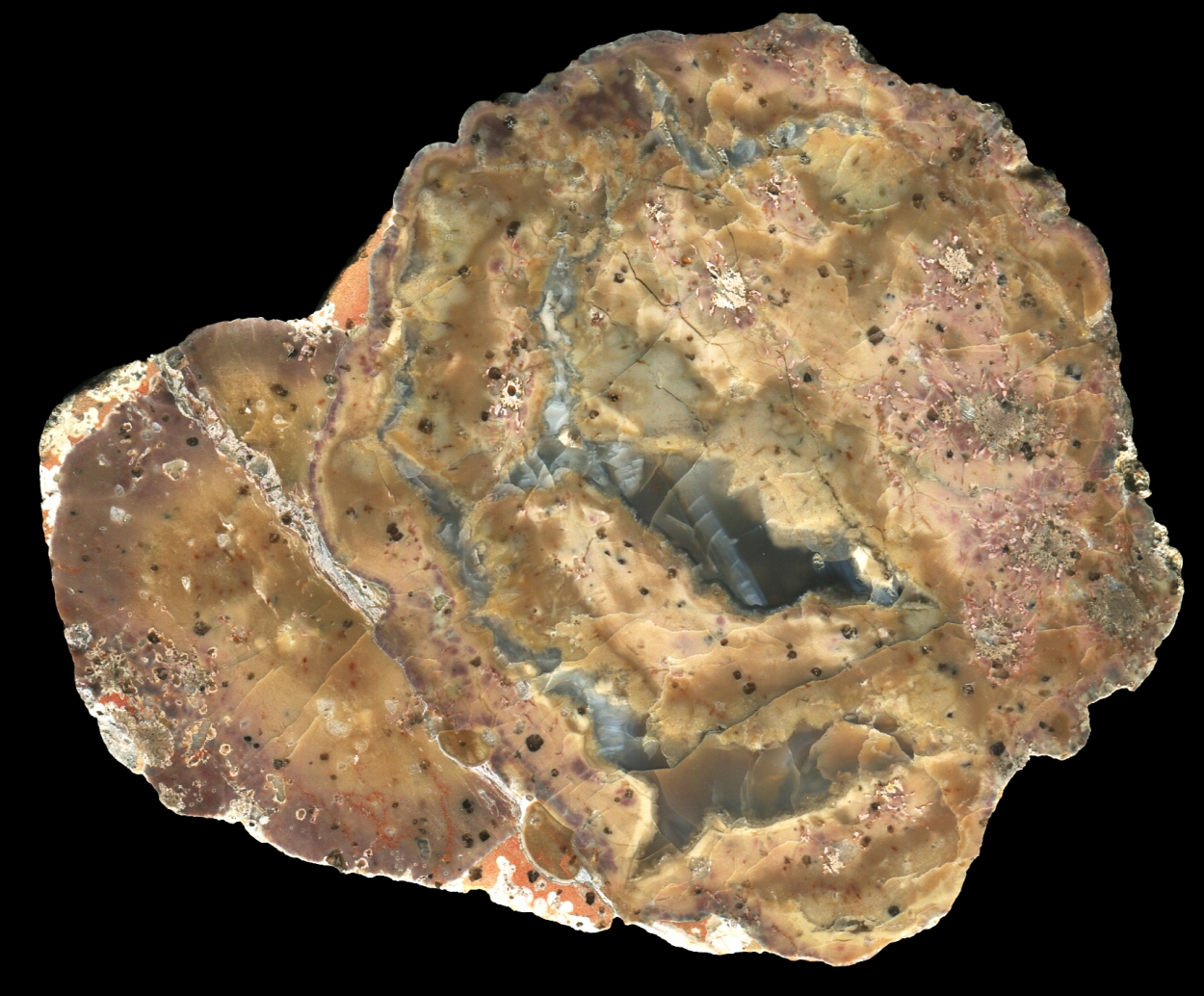 Magadan Thunderegg with Simple Agate