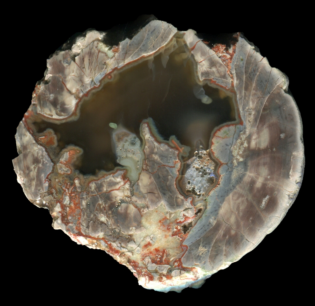 Molzhiv Thunderegg