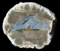 Brezina thunderegg