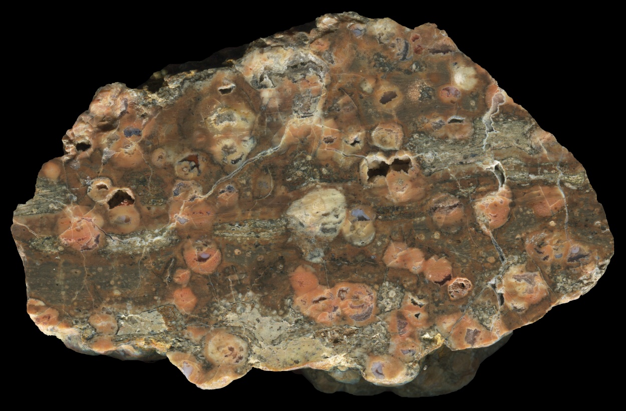 Larger Black Sea Spherulitic Conglomerate