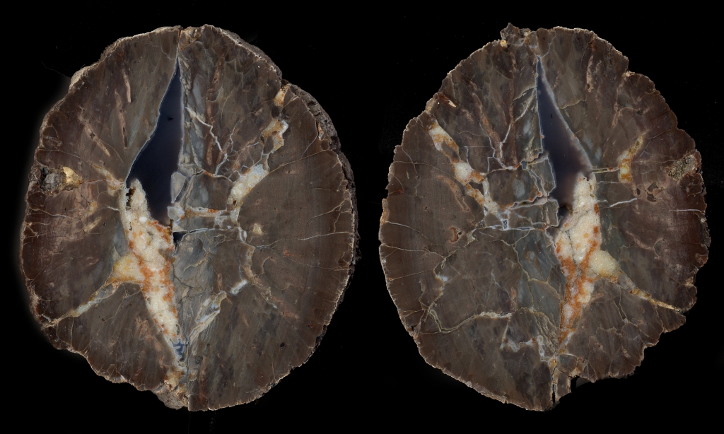Karadana Thunderegg Pair with White and Orange Mineralisation