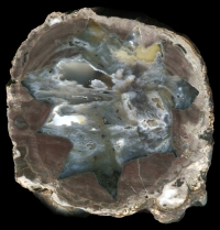Cubuk Marbled Thunderegg
