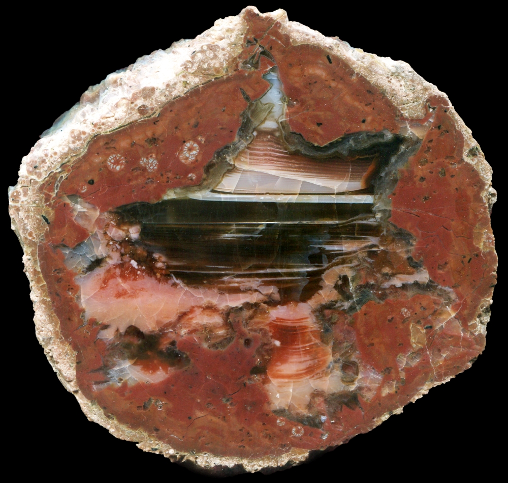 North Black Hills Thunderegg with a Complicated Core