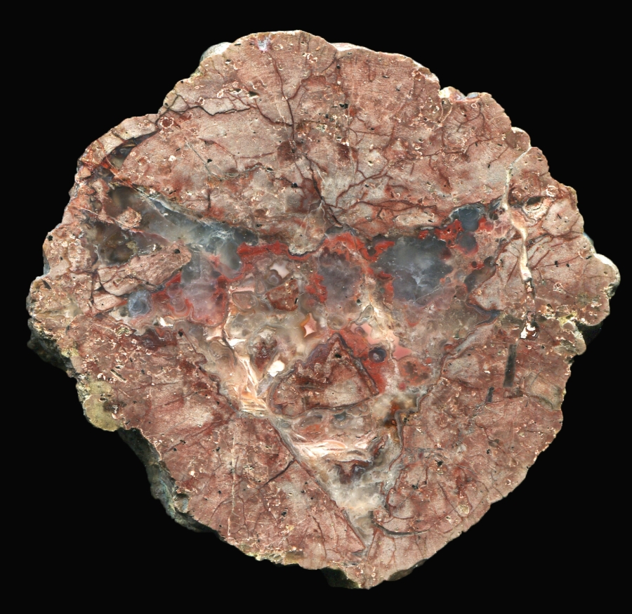 Complex Gold Basin Thunderegg 
