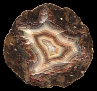 Winnemucca Thundereggs